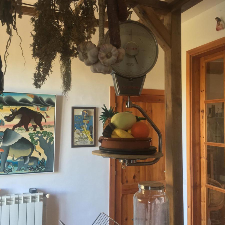 VI L'Art Wine Lodge - Only Adults Piera المظهر الخارجي الصورة